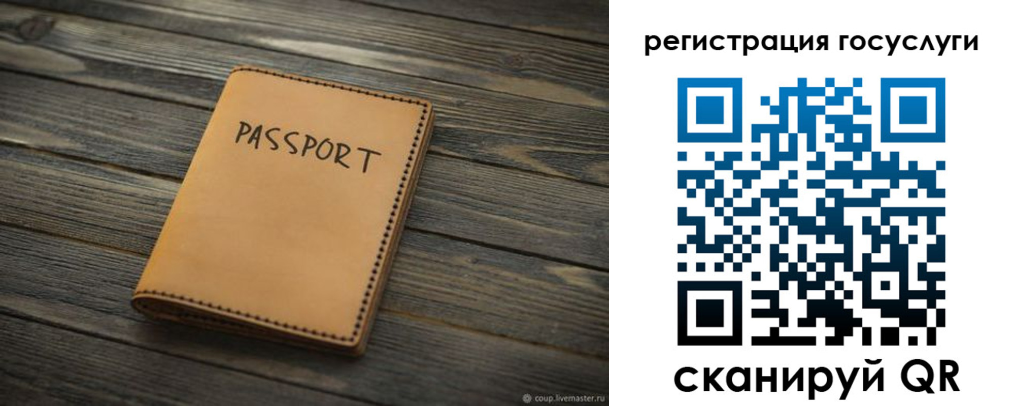 миграционный учет в Приморском крае